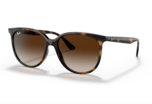 Ray Ban RB4378