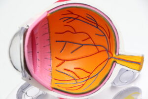 Tageslinsen beim Optiker